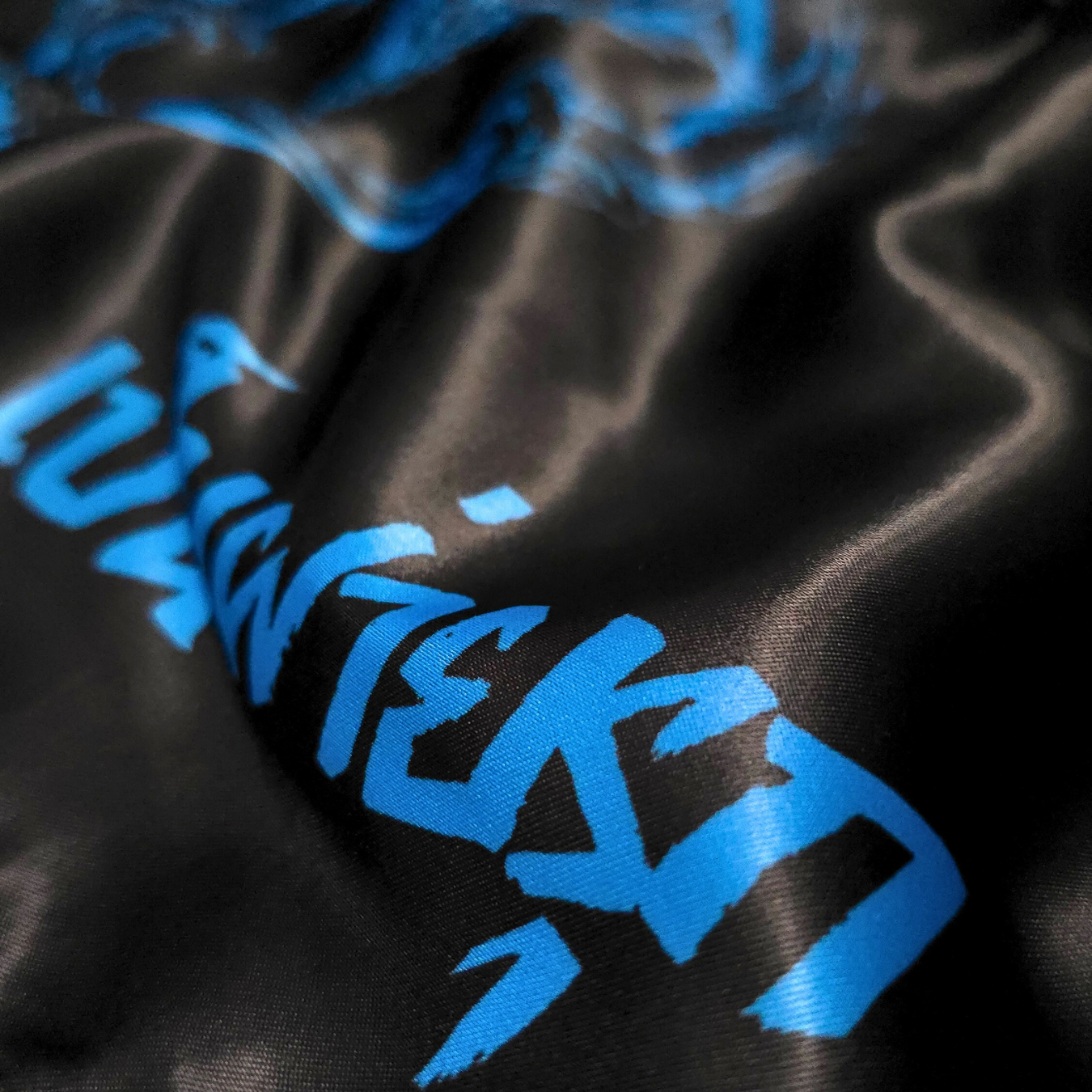 Dragon's Breath Muay Thai Shorts - Ice Blue