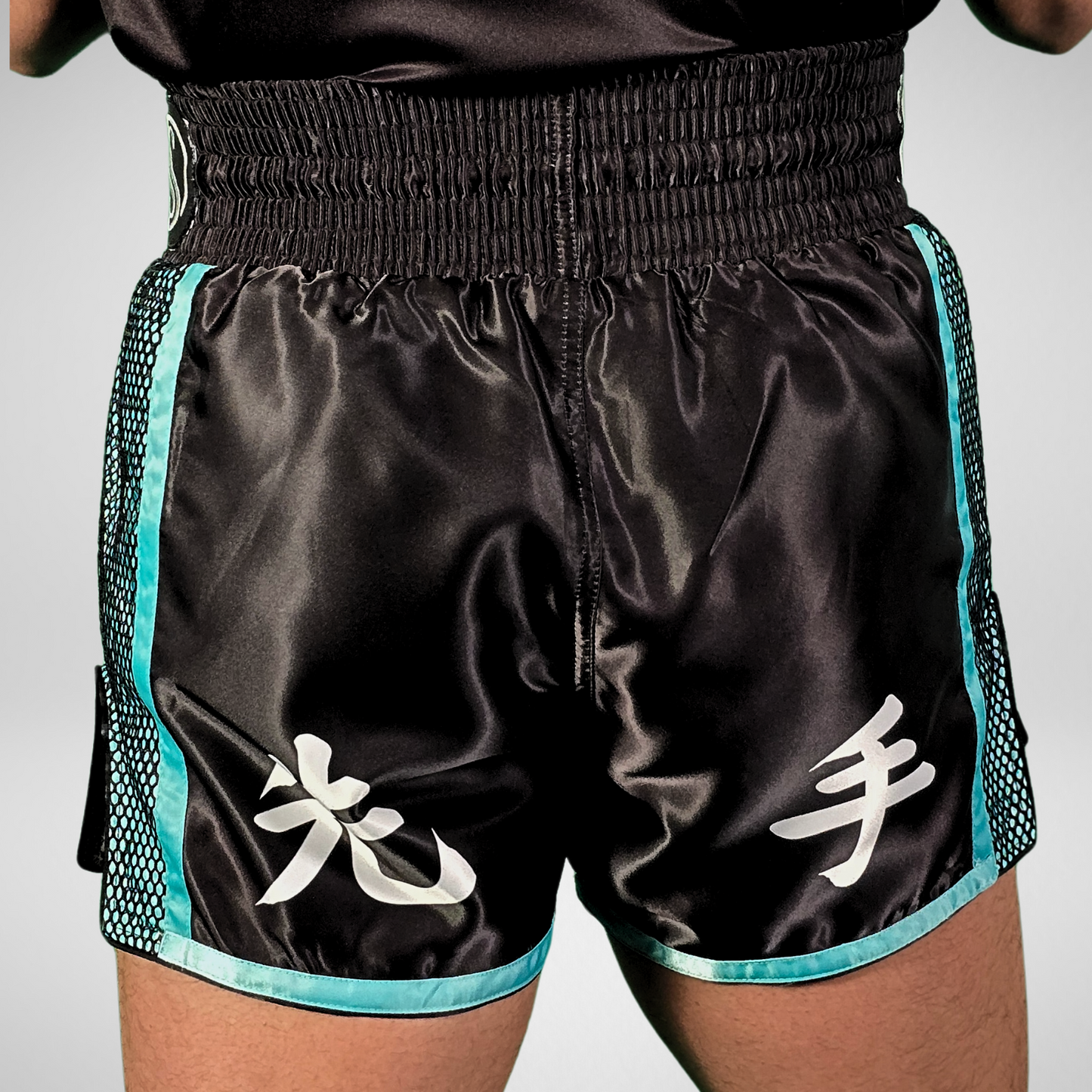 Dragon's Breath V2 Muay Thai Shorts - Teal