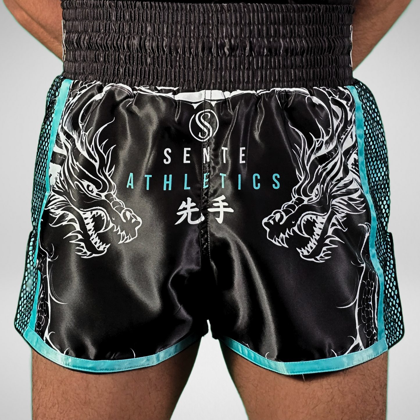 Dragon's Breath V2 Muay Thai Shorts - Teal