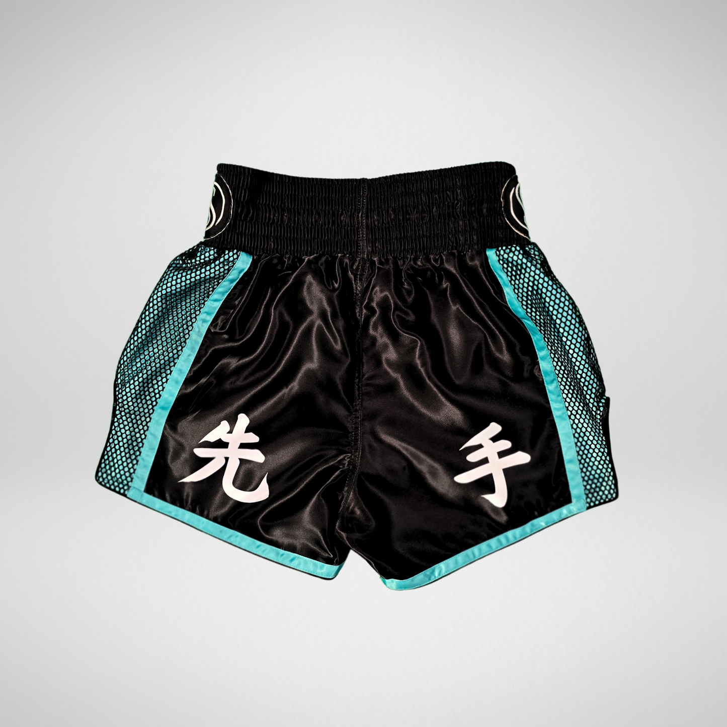 Dragon's Breath V2 Muay Thai Shorts - Teal