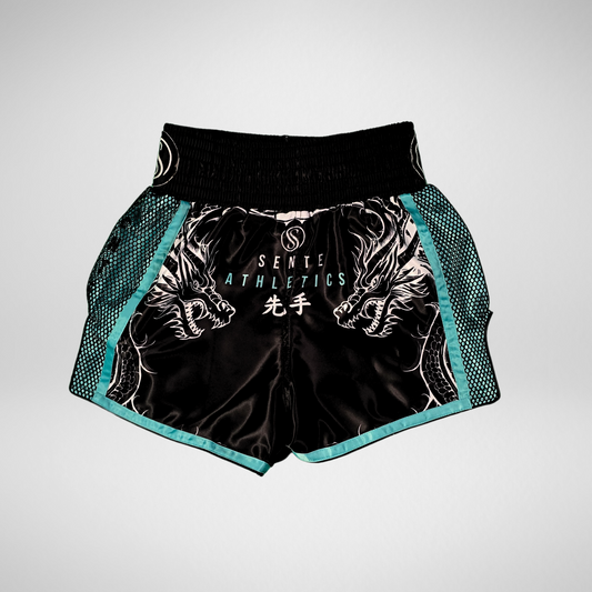 Dragon's Breath V2 Muay Thai Shorts - Teal