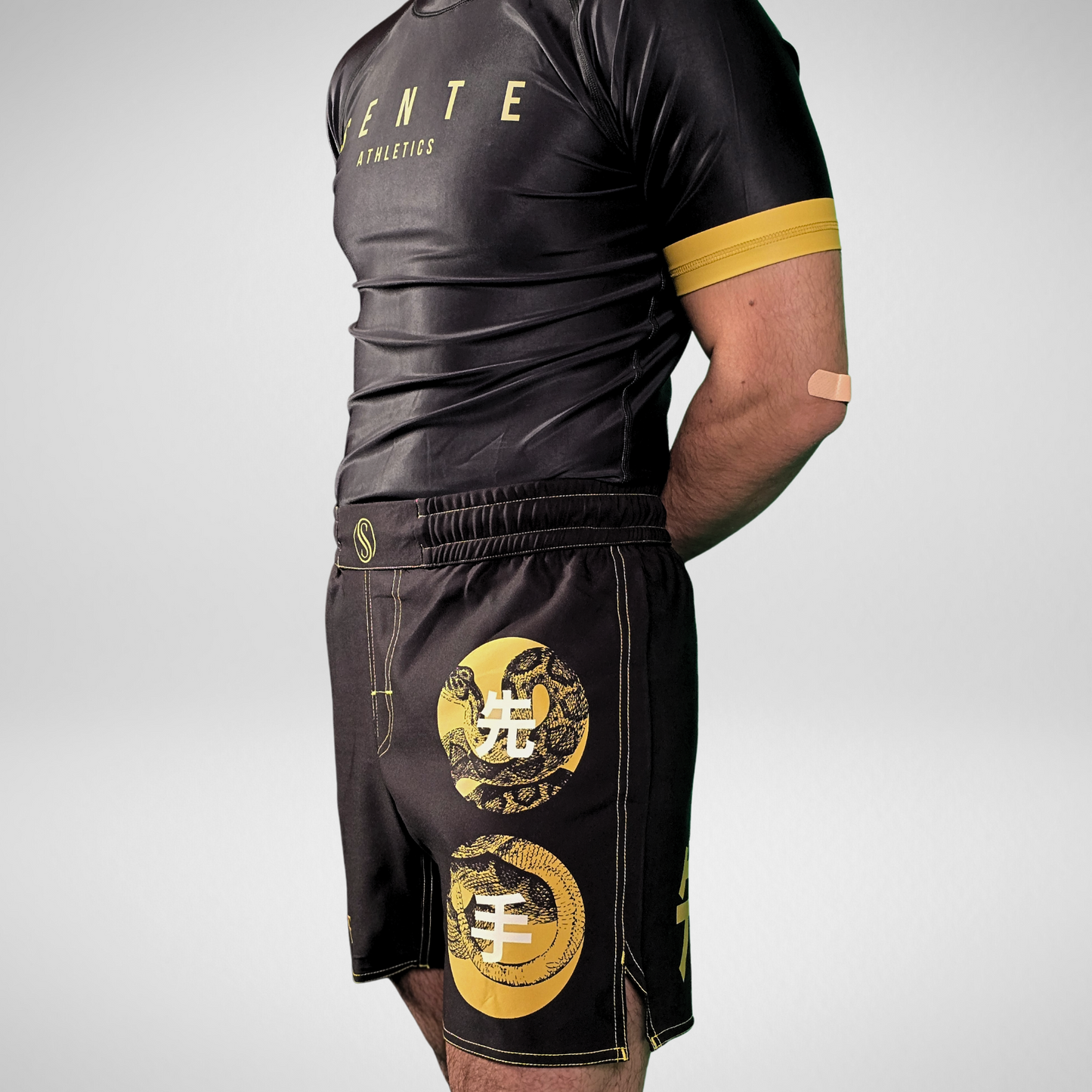 Kaishi V2 BJJ Shorts - Gold