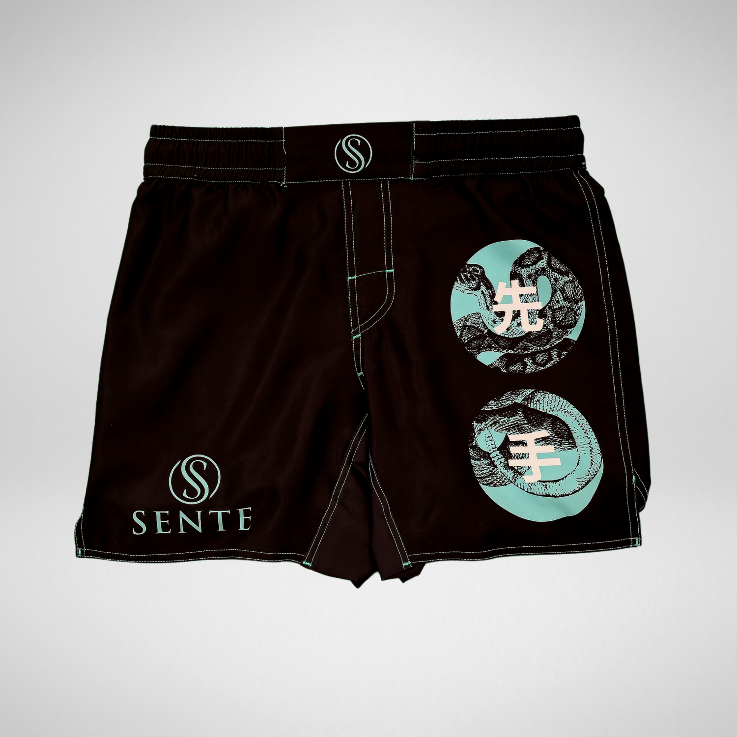 Kaishi V2 No-Gi BJJ Shorts - Teal product image by Sente Athletics